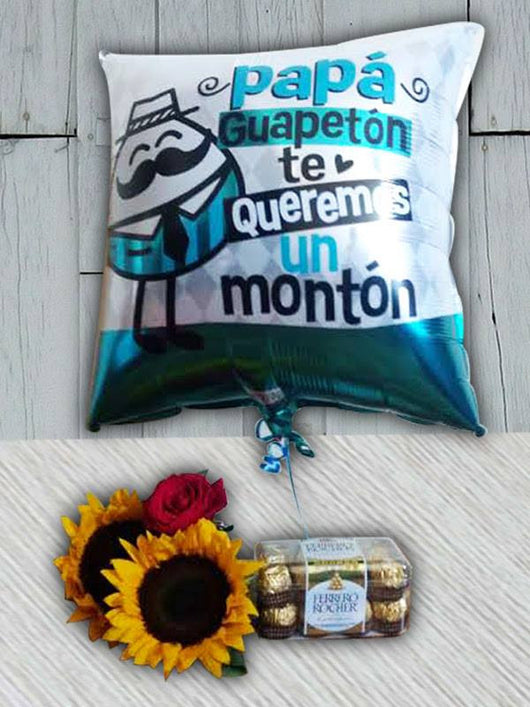 Mi querido viejo