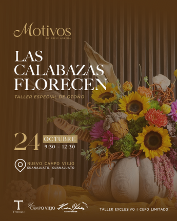Taller- Las calabazas florecen
