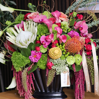 Protea Chardonnay