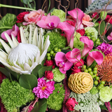 Protea Chardonnay